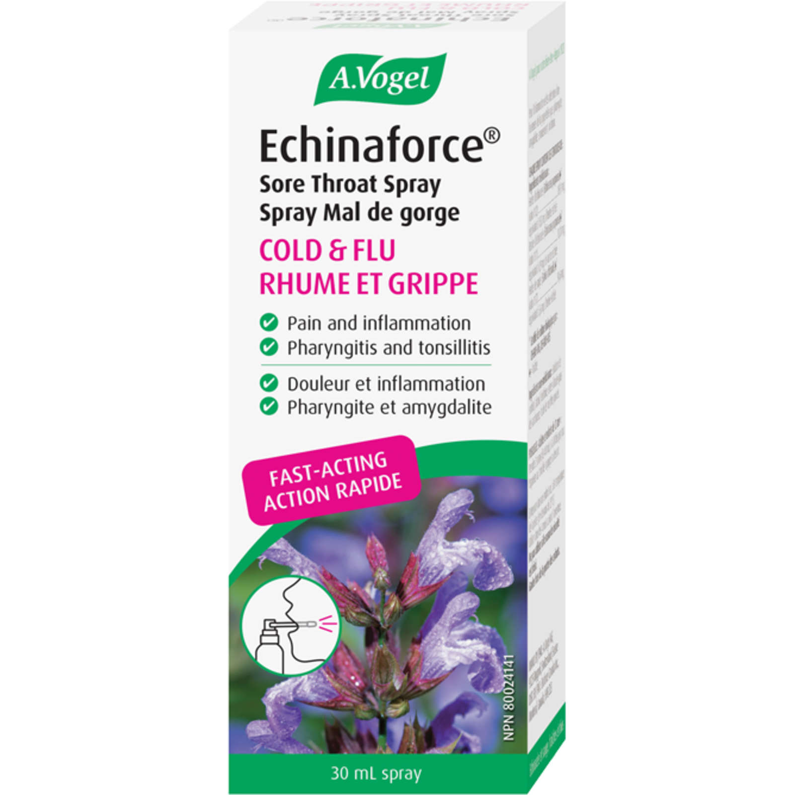 Echinaforce Immune Support for cold and flu