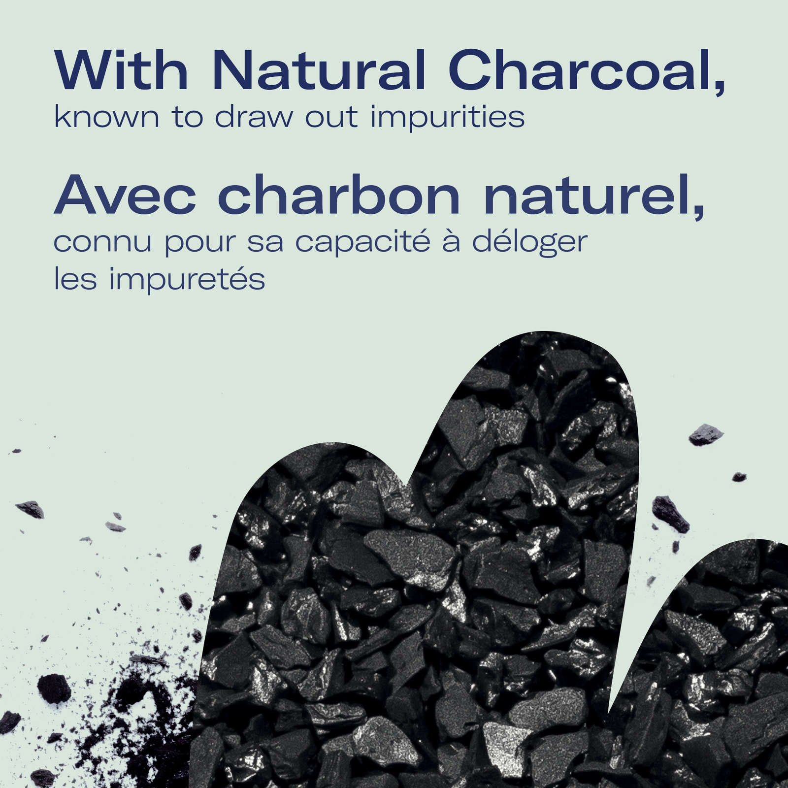 Deep Pore Charcoal Cleanser Mini