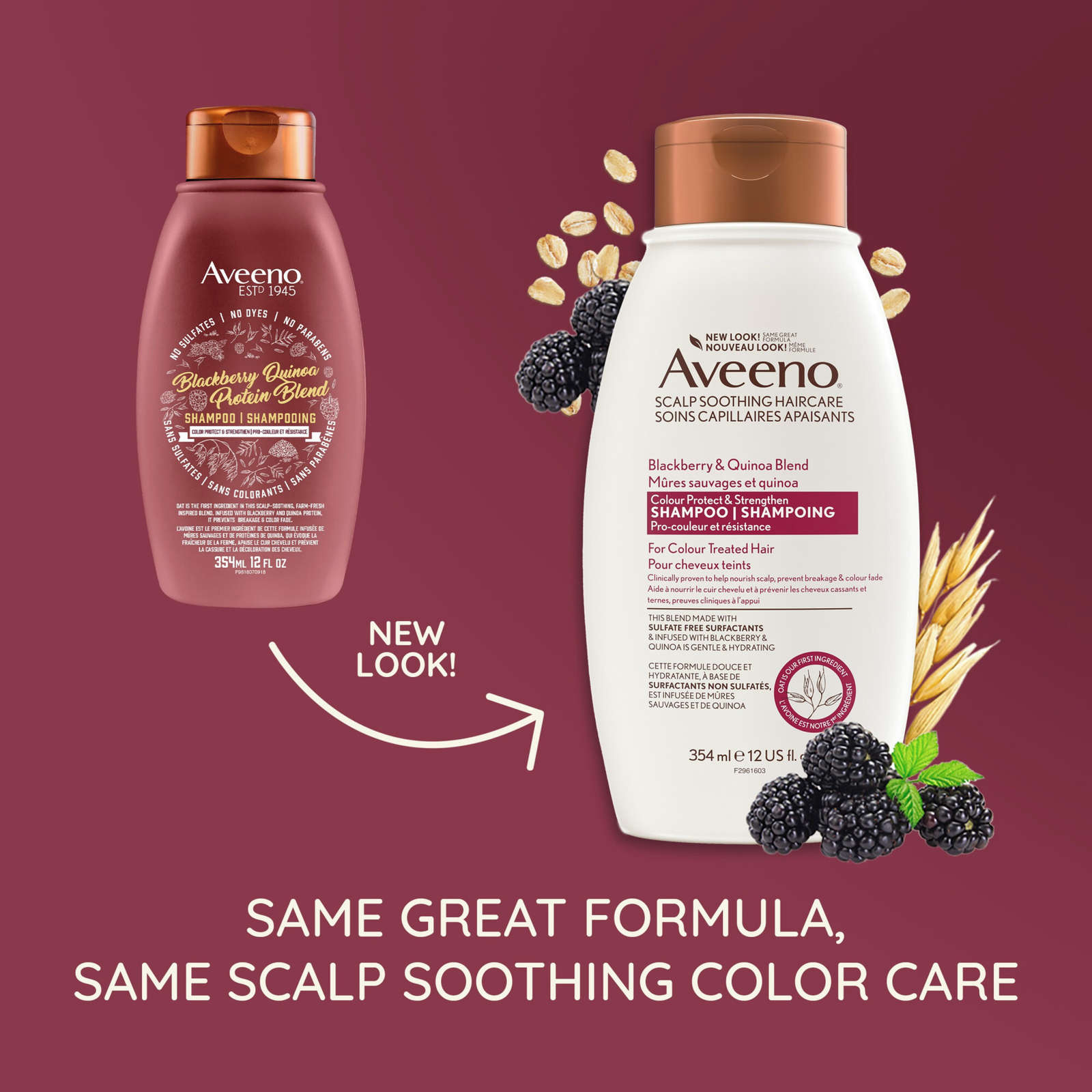 Blackberry Quinoa Protein Blend Shampoo for Color Protect & Strengthen