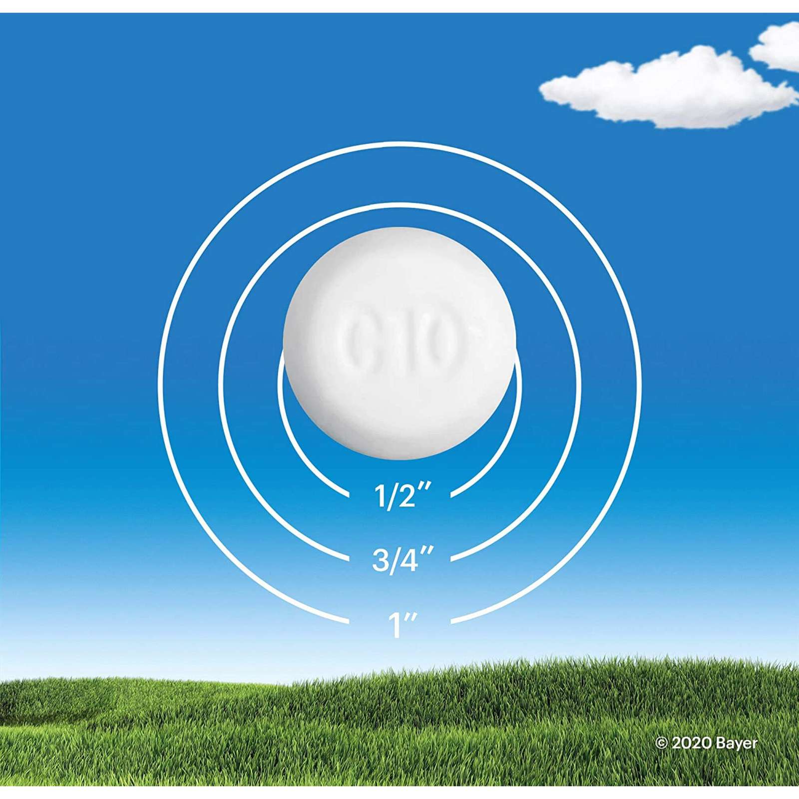 Claritin Rapid Dissolve Allergy Medicine, 24-Hour Non-Drowsy Relief 10 mg