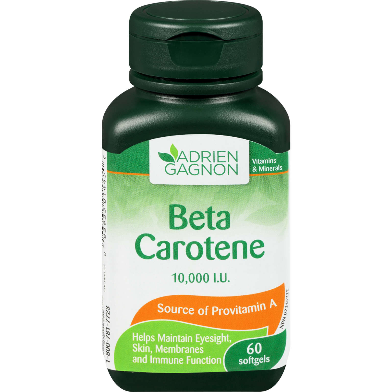 Beta Carotene